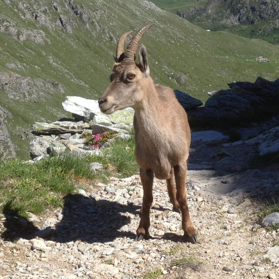 Vacation Rental - Pralognan La Vanoise Savoie מראה חיצוני תמונה