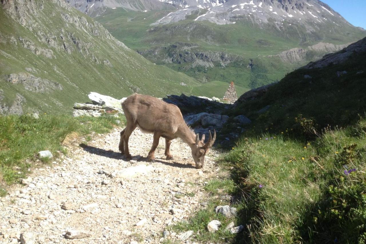 Vacation Rental - Pralognan La Vanoise Savoie מראה חיצוני תמונה